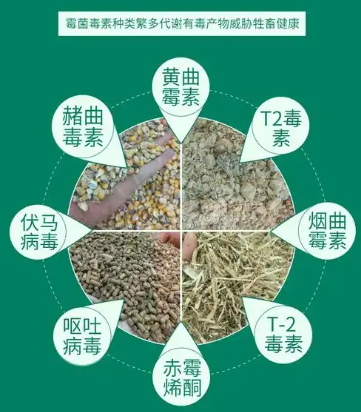 霉菌毒素分解酶
