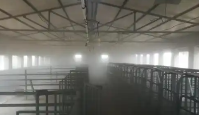 养殖场烟熏消毒用什么药好
